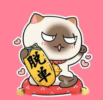 用户追光的橘子头像